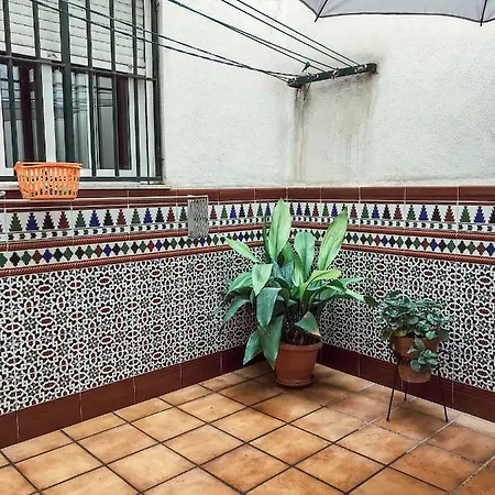 Estudio Inora * Granada